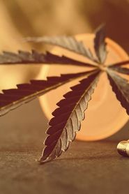 Cannabis: Prescription Pot Luck? series tv