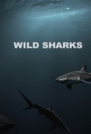 Wild Sharks series tv