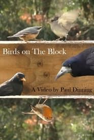 Birds on The Block series tv