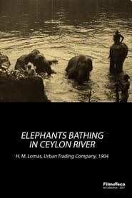 Image Elephants Bathing in Ceylon River