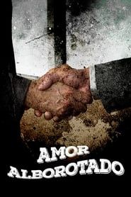 Amor alborotado (2012)