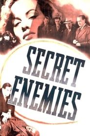Secret Enemies series tv
