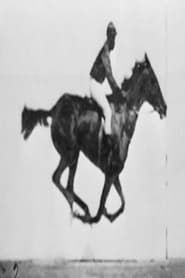 Image Man Riding Jumping Horse