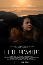Little brown bird series tv