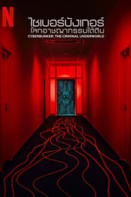 Cyberbunker: The Criminal Underworld series tv