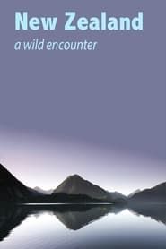 Image New Zealand - A Wild Encounter