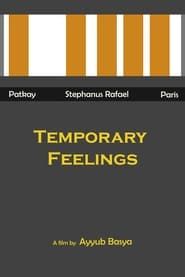 Temporary Feelings series tv