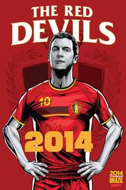 Image WK 2014: De ontbolstering van een gouden generatie bij de Rode Duivels