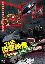 THE Shōgeki Eizō Sōshūhen (2) Muchakucha Guroi! Dōga-shū series tv