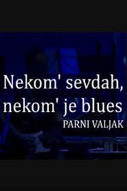 To Some It Is Sevdah, to Some It Is Blues series tv