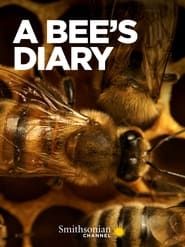 Image A Bee's Diary