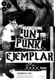 An Exemplary Punk series tv