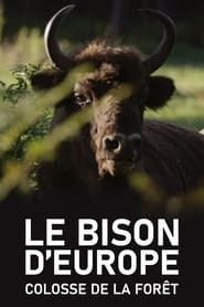 Le Bison d'Europe, colosse de la forêt series tv