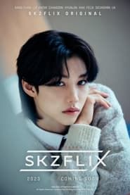 SKZFLIX (樂-STAR) series tv