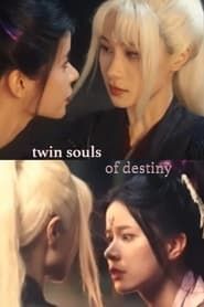 Twin Souls of Destiny series tv