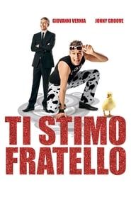 Ti stimo fratello (2012)