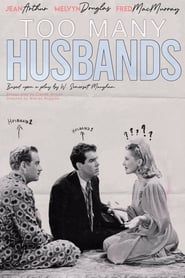 Too Many Husbands series tv