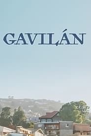 Gavilàn series tv