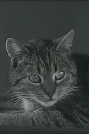 Muskarin-Vergiftung und ihre Beseitigung durch Atropin bei der Katze series tv