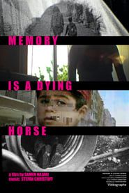 Image Memory is a Dying Horse