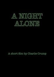 A Night Alone series tv