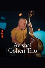 Image Avishai Cohen Trio – Shifting sands