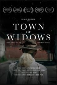 Town of Widows series tv