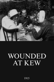 Wounded at Kew series tv