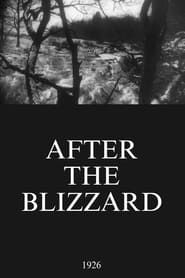 After the Blizzard series tv