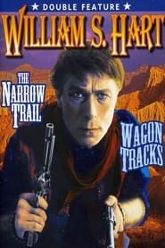The Narrow Trail (1917)