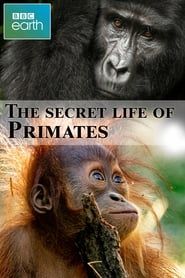 The secret life of Primates series tv