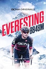 Everesting 8848M series tv