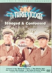 Image The Three Stooges: Stooged & Confoosed