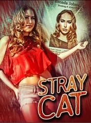Image Stray Cat 2023