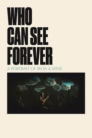 Who Can See Forever ()