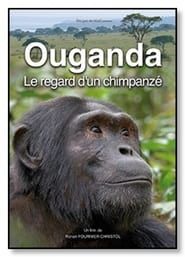 Ouganda, le regard d'un chimpanzé series tv