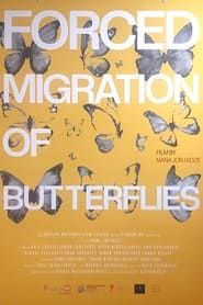 Image Forced Migration of Butterflies