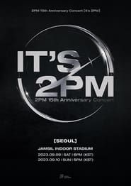2PM 15th Anniversary Concert 