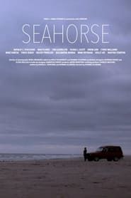 Seahorse-hd