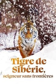 Image Tigre de Sibérie, seigneur sans frontières