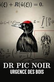 Dr Pic Noir, urgence des bois series tv