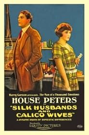 Silk Husbands and Calico Wives series tv