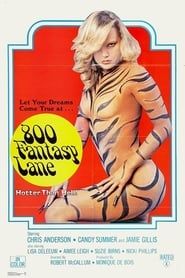 Image 800 Fantasy Lane 1979