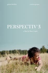 Perspective (2010)
