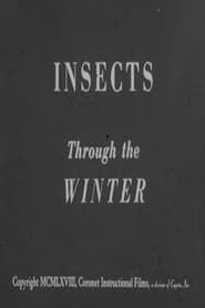 Insects Through the Winter series tv