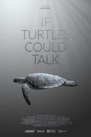 If Turtles Could Talk series tv