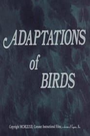 Adaptations of Birds series tv