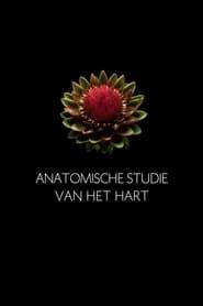 Anatomische Studie van het Hart series tv