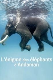 L'énigme des éléphants d'Andaman series tv