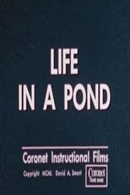 Life in a Pond series tv